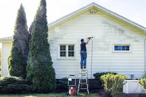 Reliable South Padre Island, TX Pressure washing Solutions